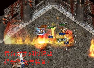 ����������ο��������ȼ���װ����