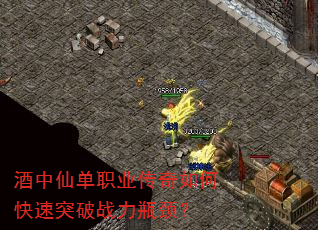 �����ɵ�ְҵ������ο���ͻ��ս��ƿ����