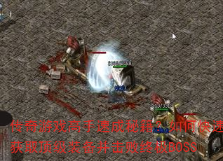 ������Ϸ�����ٳ��ؼ�����ο��ٻ�ȡ����װ���������ռ�BOSS