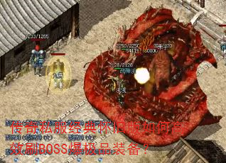 ����˽�����仳�ɰ���θ�ЧˢBOSS����Ʒװ����