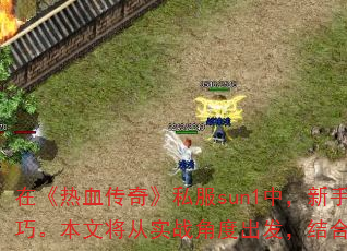 �ڡ���Ѫ���桷˽��sun1�У����������Ҫ�������𣬱������պ����������ԡ�ְҵ�����Լ�װ����ȡ���ɡ����Ľ���ʵս�Ƕȳ��������˽�����л��ƣ�Ϊ���ṩһ�׸�Ч�ɳ������������������������ǰ�С�