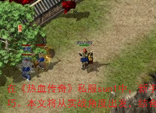 �ڡ���Ѫ���桷˽��sun1�У����������Ҫ�������𣬱������պ����������ԡ�ְҵ�����Լ�װ����ȡ���ɡ����Ľ���ʵս�Ƕȳ��������˽�����л��ƣ�Ϊ���ṩһ�׸�Ч�ɳ������������������������ǰ�С�