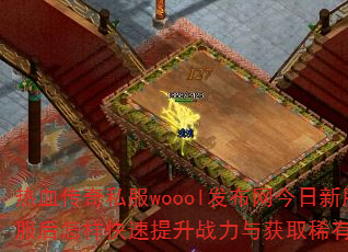 ��Ѫ����˽��woool�����������·�������������������ս�����ȡϡ��װ����