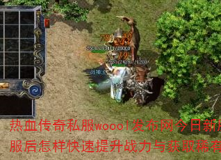 ��Ѫ����˽��woool�����������·�������������������ս�����ȡϡ��װ����