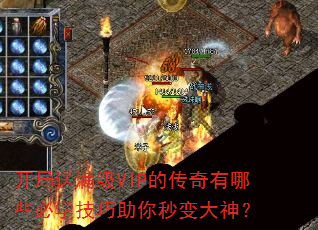 ����������VIP�Ĵ�������Щ��ѧ��������������