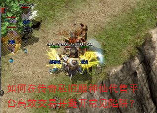 ����ڴ���˽�ɷ����ɴ���ƽ̨��Ч���ײ��ܿ��������壿