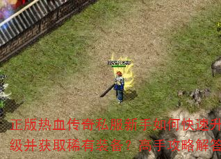 ������Ѫ����˽��������ο�����������ȡϡ��װ�������ֹ��Խ��