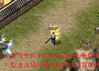 �б䴫��������ο���ˢ������װ����ְҵѡ���뼼�ܼӵ㼼������Щ��