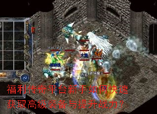 ��������ƽ̨������ο��ٻ�ȡ�߼�װ��������ս����