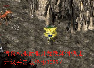 ����˽���·���������ο��������������ռ�BOSS��