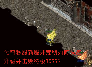 ����˽���·���������ο��������������ռ�BOSS��