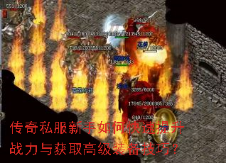 ����˽��������ο�������ս�����ȡ�߼�װ�����ɣ�