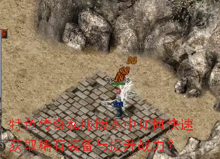 ��ɫ����˽���汾����ο��ٻ�ȡϡ��װ��������ս����