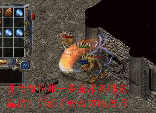 ������˽��һ���������ļҿ��ף������ֱر����Լ���