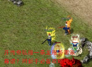 ������˽��һ���������ļҿ��ף������ֱر����Լ���