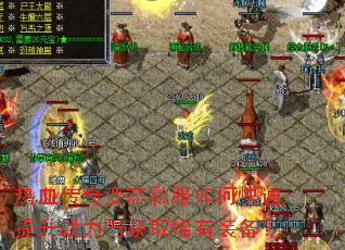 ��Ѫ�����̬˽����ο�������ս�����ȡϡ��װ����