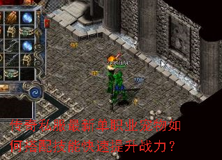 传奇私服最新单职业宠物如何搭配技能快速提升战力? 传奇私服最新单职业宠物如何搭配技能快速提升战力?