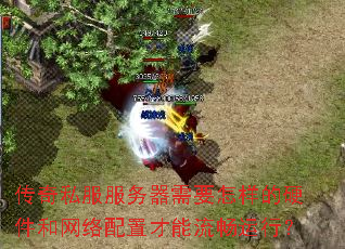 传奇私服服务器需要怎样的硬件和网络配置才能流畅运行? 传奇私服服务器需要怎样的硬件和网络配置才能流畅运行?
