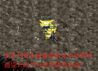 ��̬����˽�����°汾����ο�������ս�����ȡϡ��װ����