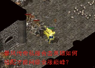 ���紫��˽���ϻ�Ӣ����δ�������ʶ�ȫ���۷壿