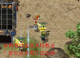 �����Ч�����������������ұؿ���ָ��