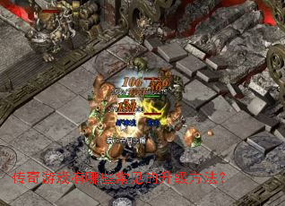 ������Ϸ����Щ����������������