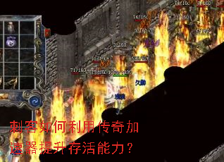 �̿�������ô���������������������