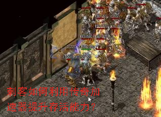 �̿�������ô���������������������