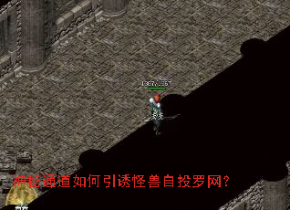 ����ͨ��������չ�����Ͷ������