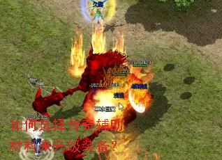 ���ѡ���渨������������װ����