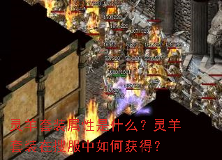 ������װ������ʲô��������װ���ѷ�����λ�ã�