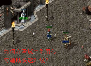 �����ѩ�������ô��渨������������