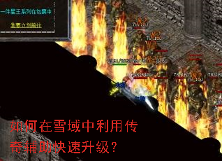 �����ѩ�������ô��渨������������