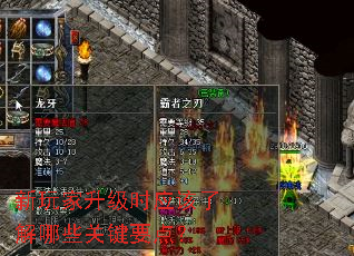 ���������ʱӦ���˽���Щ�ؼ�Ҫ�㣿