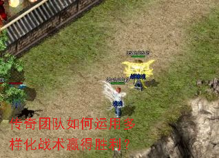 �����Ŷ�������ö�����ս��Ӯ��ʤ����