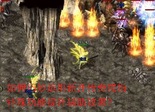 ������������¿������ָ���⹦����������Ч����