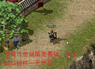 û�д��渨����Ѱ棬ɱ��BOSSͬ��һ������