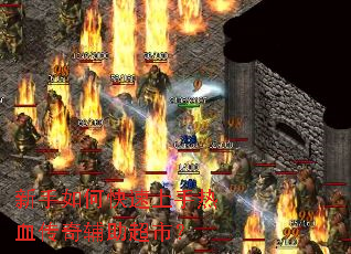 ������ο���������Ѫ���渨�����У�