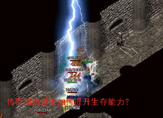 ���渨����ʿ�����������������