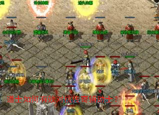 ��ʿ�����Ч�Կ����渨��ʿ��