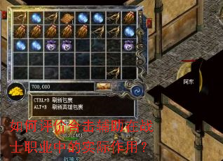 ������ۺϻ�������սʿְҵ�е�ʵ�����ã�