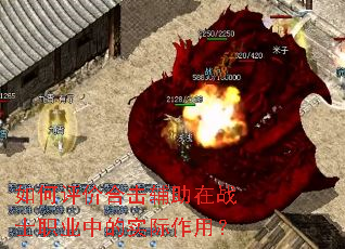 ������ۺϻ�������սʿְҵ�е�ʵ�����ã�