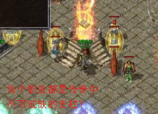 ÿ��ְҵ���Ǵ����в��ɻ�ȱ��֧����