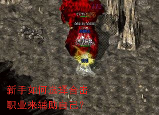 �������ѡ��ϻ�ְҵ�������Լ���