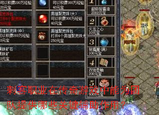 �̿�ְҵ�ڴ�����Ϸ����Ϊ�Ŷ��ṩ��Щ�ؼ��������ã�