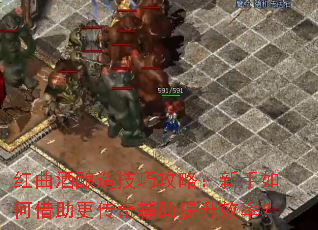 ���������켼�ɹ��ԣ�������ν��������渨������Ч�ʣ�