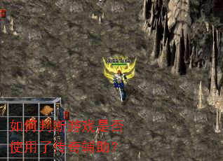 ����ж���Ϸ�Ƿ�ʹ���˴��渨����