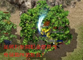 ����ж�ְͬҵʹ�ô��渨��PK��ʤ����