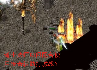 ��ʿ��ʦ������ʹ�ô��渨�����ս��