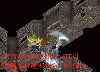 ������Ϸ��ְҵ�汾GEE�������ط��ټ����ܷ��ƽ⣿